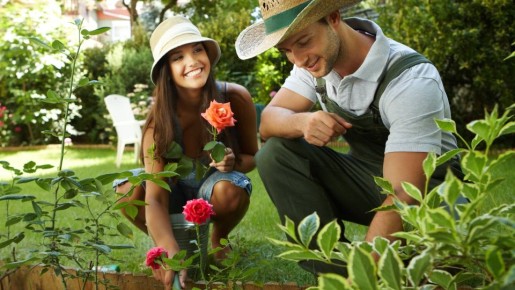 ������ � ���� ����� ������ ������: � ������� ���������� �������� ��� ���