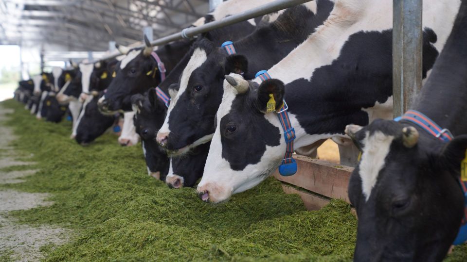 ������������������ � ��� �� ������ �������� ���� � ���������� ������� ������� ����� ��� �� 3 %