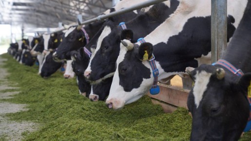 ������������������ � ��� �� ������ �������� ���� � ���������� ������� ������� ����� ��� �� 3 %