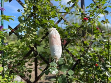 ���������� ��� � �������: ���������� ������� ��� ���������