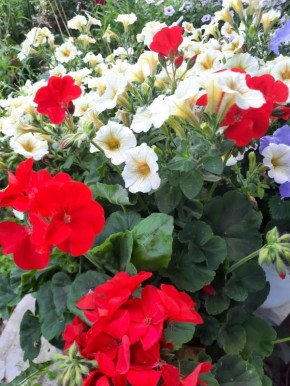 ���� ����� ����������