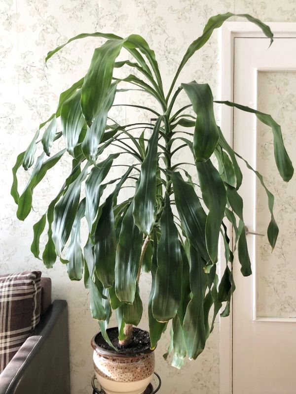 ������� ��������: ��������� ������� ��� ������� ����