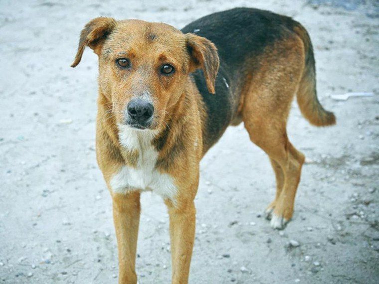 ������� ������ ����� ��������� � ���������� �����