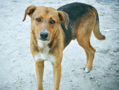 ������� ������ ����� ��������� � ���������� �����