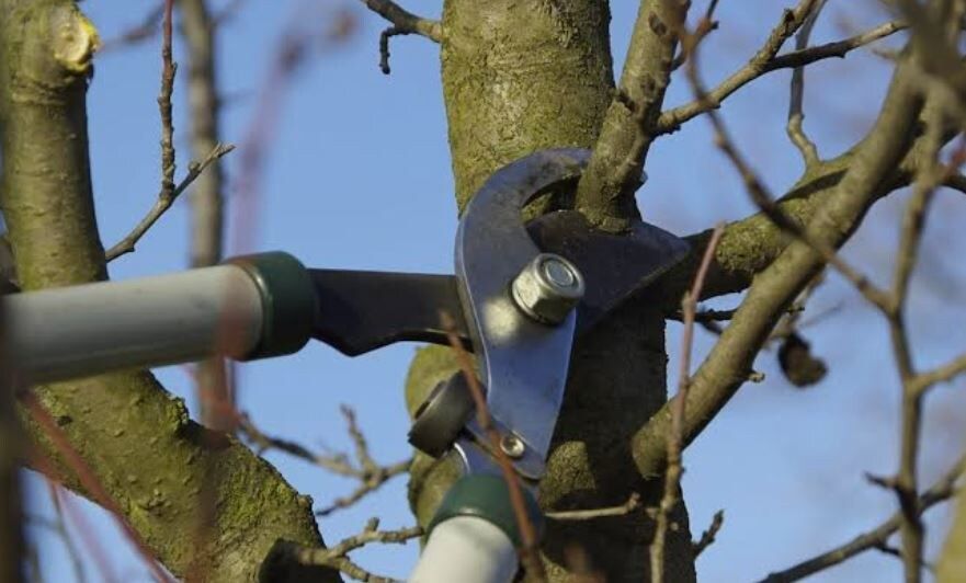 ������� ��������: ��� �� ��������� � ��������� ������