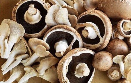 �����: ������� ��������� ��� ������� ������?