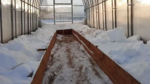 ��� ���� � ������� ����� ������ ��� ��������� ������ ������?