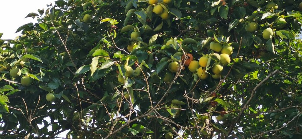 ������ ������������� ����� ������ �� ���� � ��� ��� ������� ���������