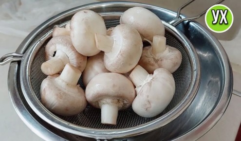 �����: �������� ���������� ������� ��� �������� �����