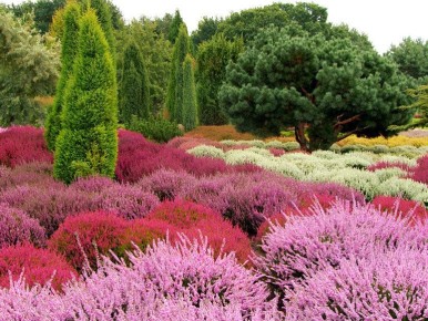 ������: ������� ������� � �����, ������� ������� ��� ���