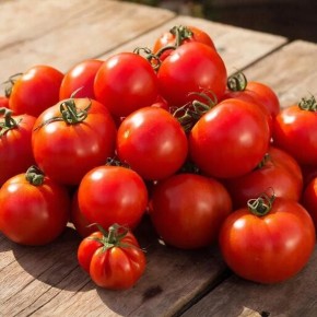 Почему помидоры могут быть не так полезны, как кажется