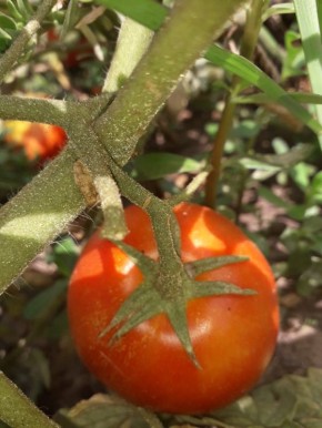 ����� ��� ����� �������: ��� ���� ���������� ����������� ������� �����������