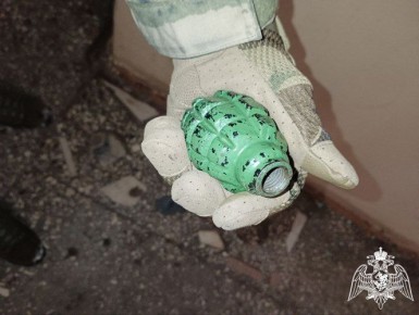 Найденная в Иванове граната Ф-1 оказалась не настоящей