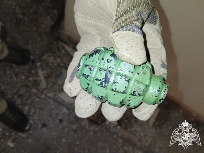 Боевую гранату Ф-1 нашли в одной из квартир Иванова
