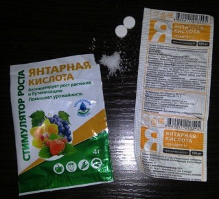 �������� �������: ������� ��������� ����� ��������