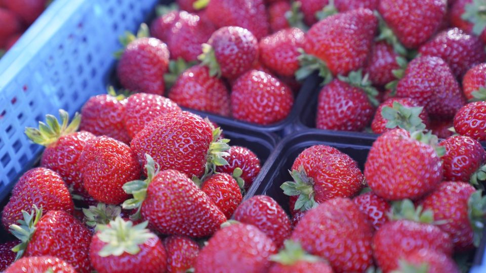 ������������ ���� � ���������� ������� ������� ����� �� 15%