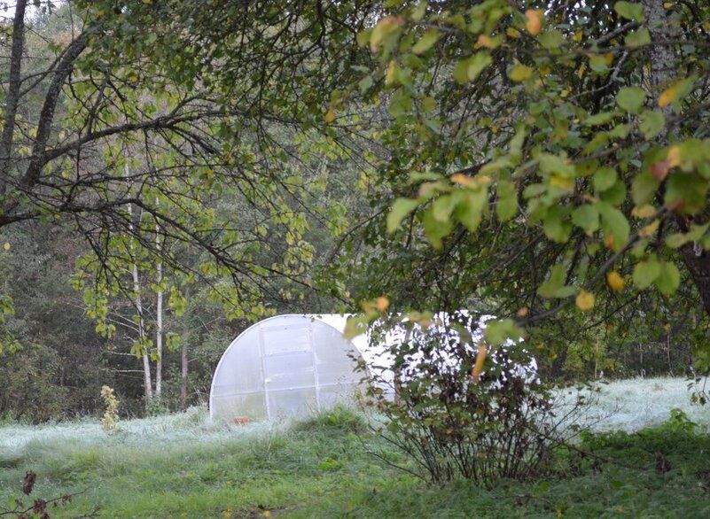 ����� ������� ��������� �������: ��� ����������� � � ����