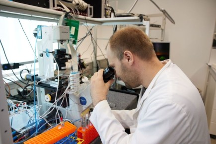 ����������� �������� ���� ������� ��� ������ ������ ������