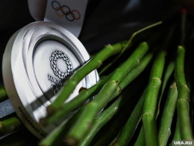 ������ �� ������ ����������� � ������������� �����: ������ ���