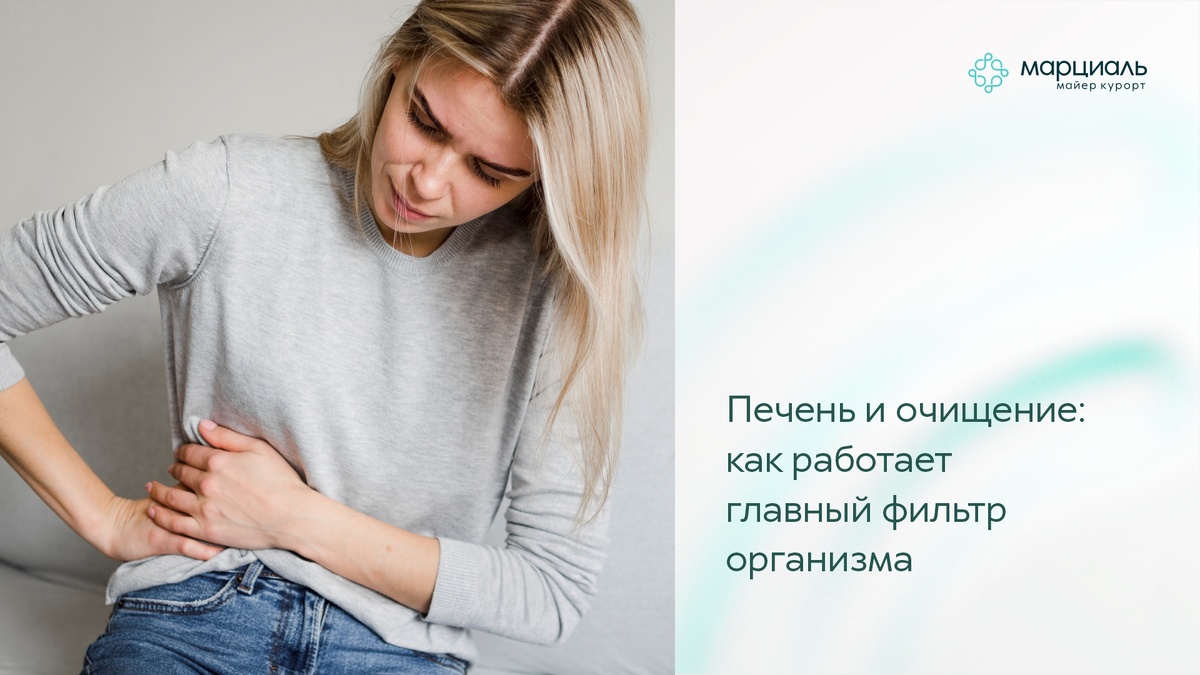 Печень — главный фильтр организма: как она работает и что влияет на её здоровье