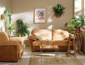 ��� ��������� ����� ������ �������� ������ ����