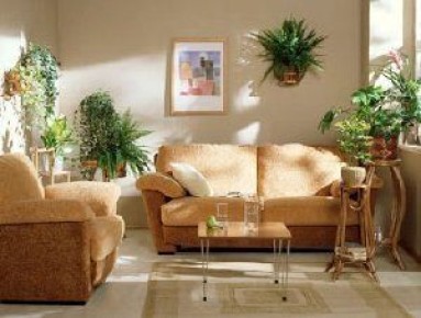 ��� ��������� ����� ������ �������� ������ ����