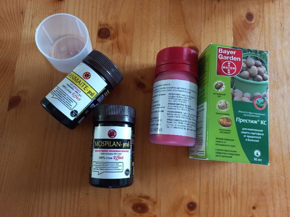 ��� �������� ������������ � ��������� ������������ ������