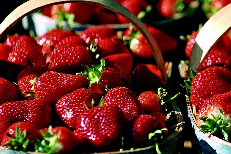 ��� ������� ��������� ��������: ������������ ��� �������?