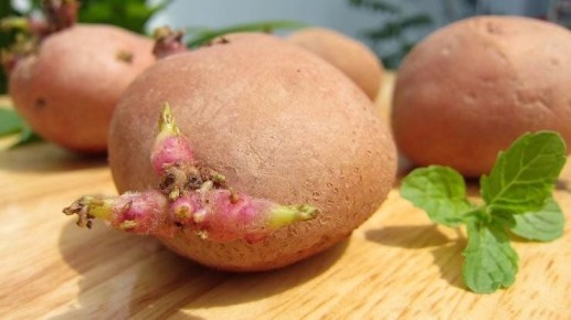 ����� ���������: ��� ��������� ������ ����� ������ � ������ �����