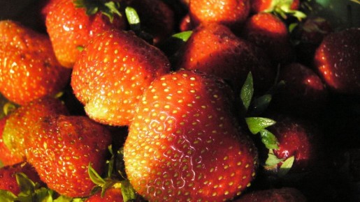 ��� ��������� ������� ��������� �� ���������: ������� ������