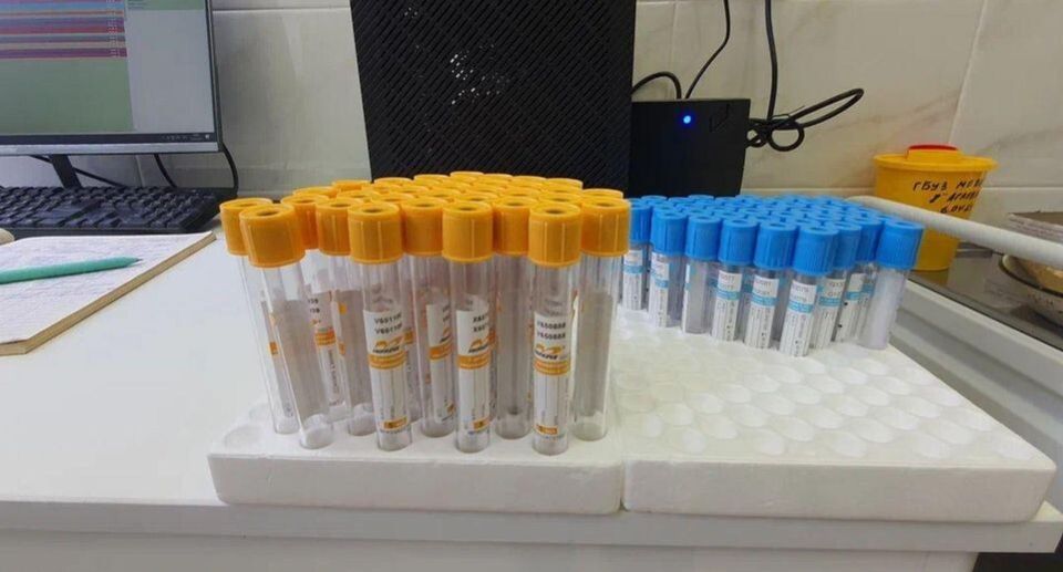 ������ ������ � �������� ������: ����������� ������� �� �������� �����