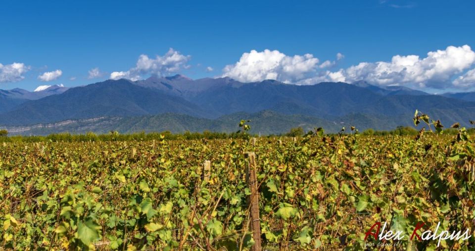 ����������� ���� ������