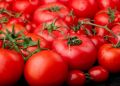 Советы по заморозке помидоров: сохраните летний урожай до зимы