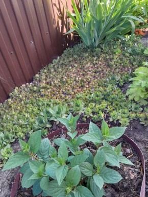 �������� ����: ��������� �������� ��� ������ ����