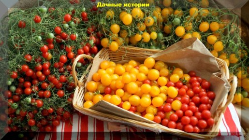 10 ����� ���������������� �������� ��������: ������ � ������