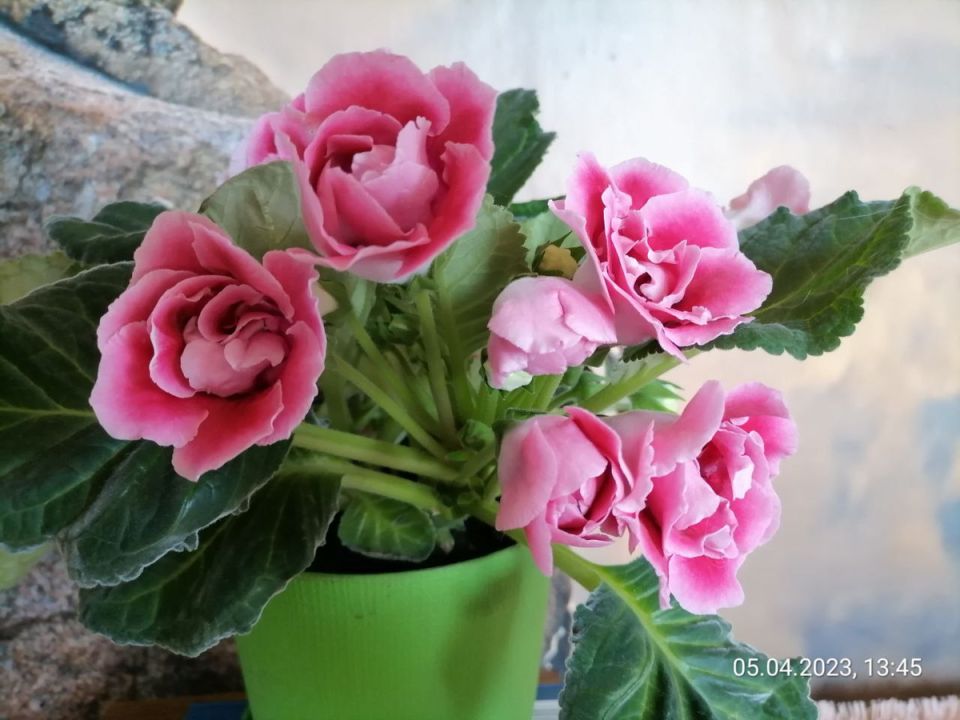 ������� ������� �� �������: ��� �������� �������?