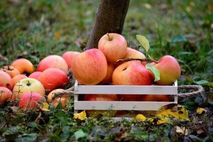 �������� � ����: ��� ��������� ������ ����� ���������