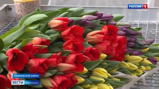 Цветочное многоцветье царит в фермерских хозяйствах Ивановской области