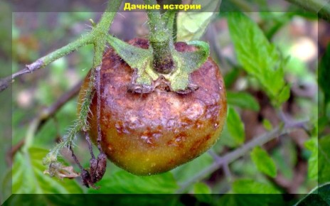 ��������� �� �������: ������ ������ ��� �����������