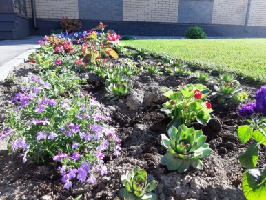 ��������� ��������: ���������� ����� � ����