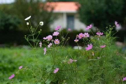 ����� ����� �������� ��� ��������� ��� ����������� ���������?