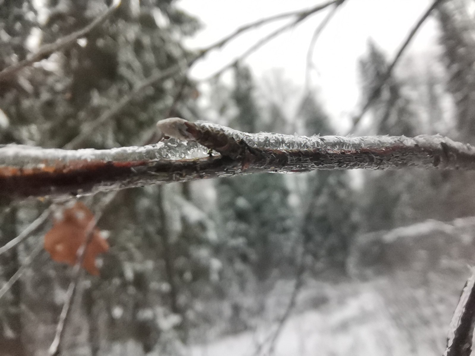 Гололед и налипание снега ожидается в Ивановской области