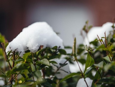 ������ ������� ��������: ��� ��������� �������� � �������