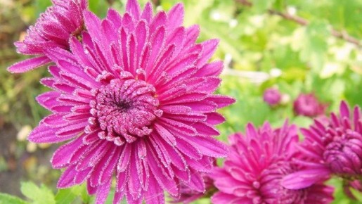 ��� ��������� ������� ��������� ����� ����: ����������� ������