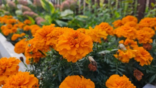 �������� � ����: �������� ������ � ��������� �����