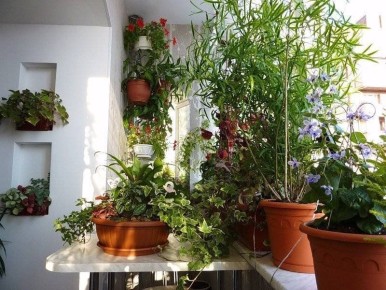 ������ ������ ��� ���������� ����������: ��� ��������� ������� ��������