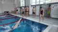 В Тейкове стартовал набор детей в бесплатные секции по плаванию на базе нового физкультурно-оздоровительного комплекса «Волна»