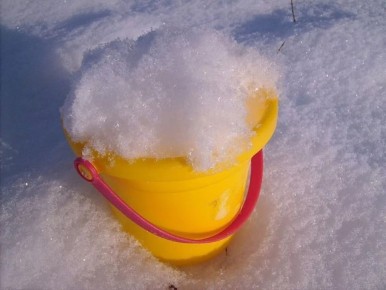 Талая вода для рассады: мифы и реальность