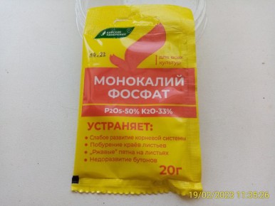 ���� � ���������, ����� ������� �� ������������