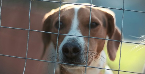 ������ ������ ��� � ������ ��������: ������ � ����������� �������� �������� �����